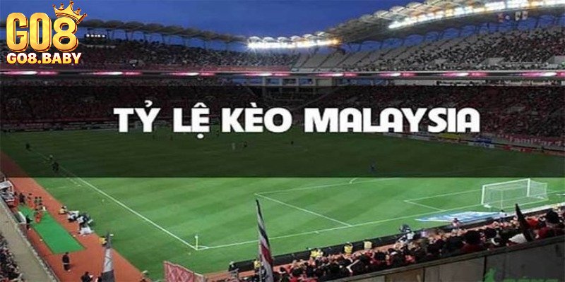 Cách đọc kèo Malay trong bóng đá
