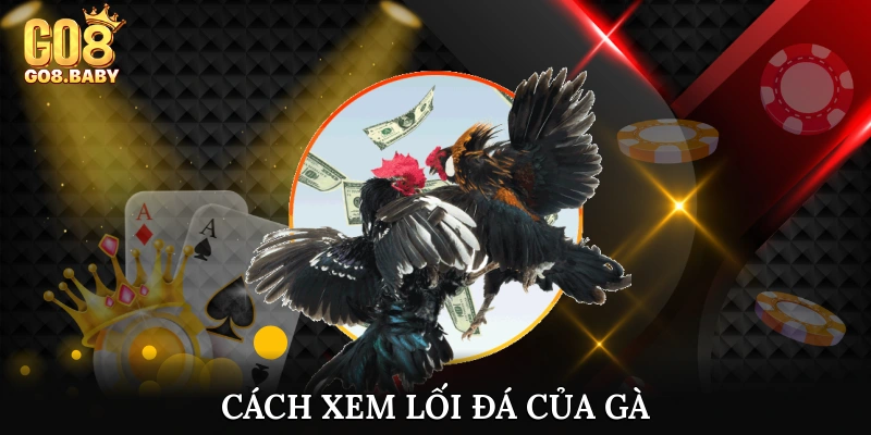 Cách xem lối đá của gà