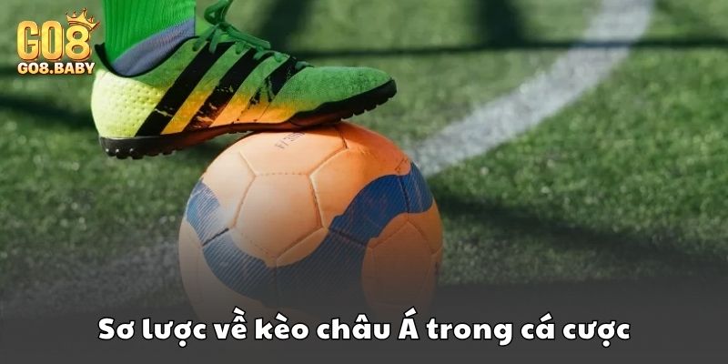 Sơ lược về kèo châu Á trong cá cược thể thao