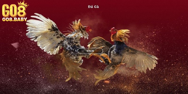 Khái quát về đá gà trực tuyến