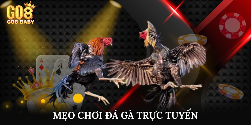 Mẹo chơi đá gà trực tuyến