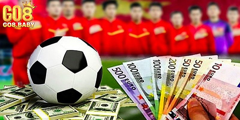 Nhiều bộ môn cá cược thể thao hấp dẫn tại Go8