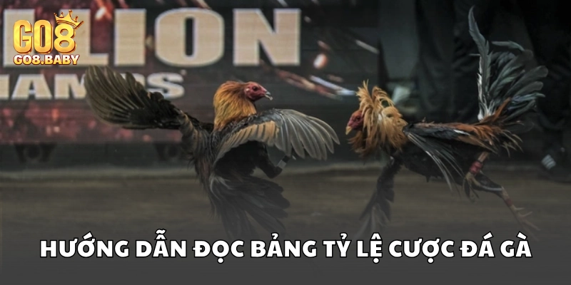 Hướng dẫn đọc bảng tỷ lệ cược chi tiết khi tham gia cược đá gà