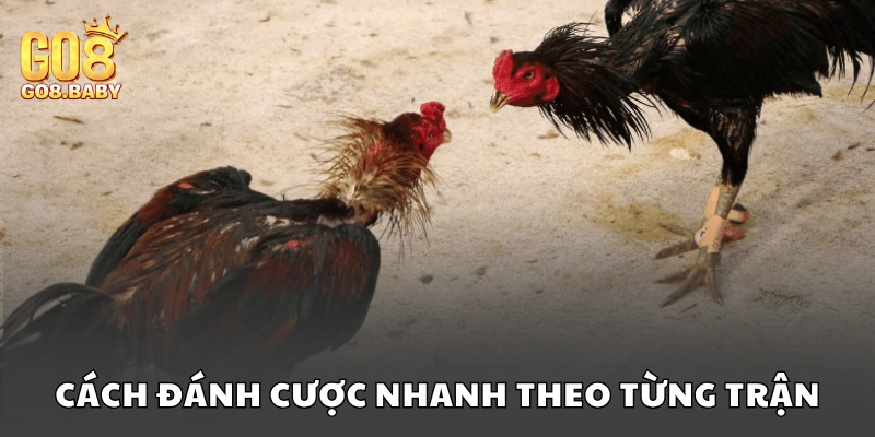 Cách đánh cược nhanh theo từng trận cụ thể